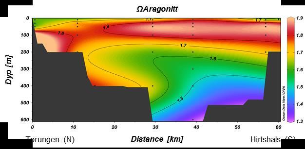 I Figur 5b vises endringer i aragonittmetning langs snittet ved 100 meter og i dypvannet ved 600 m.