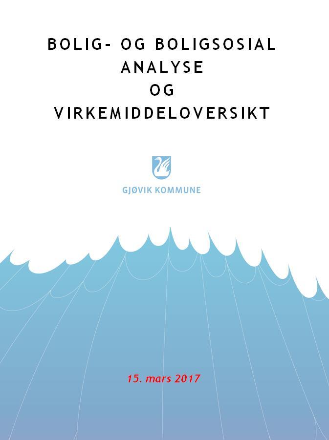 Hva inneholder analysen?