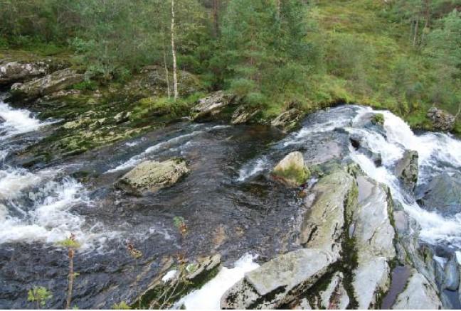 Side 3 av 7 Inntaksområdet. Fossen med skogsveg i framgrunnen. Venstre: Utsikt mot Øyra frå toppen av fossen. Høgre: Øyrafossen sett frå Engja. Foto 01.09.15. Idar Sagen 2.