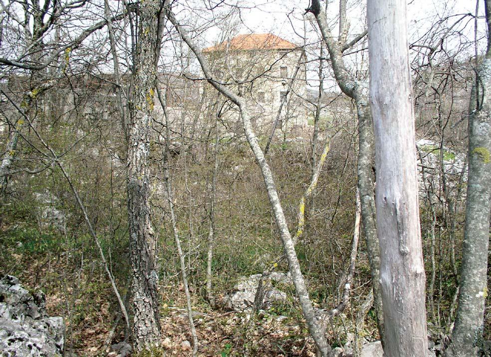 Mučenici traže istinu Iako se preko tih događaja prevukao talog prešutnih godina pomiješan i učvršćen komunističkom strahovladom, osjećaji nisu umrli, nestali.