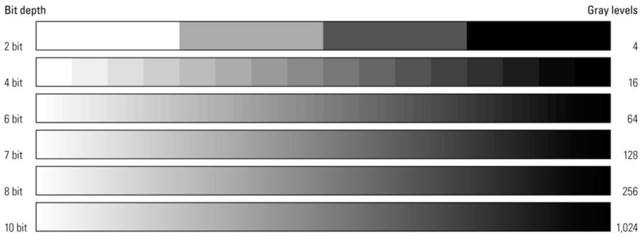 Intensitet Bits verdiområde Sensorer 16 0 to 65535 (2 16-1) Leica