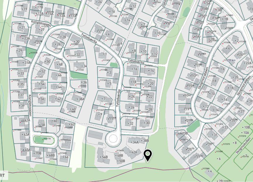 Prioritet 1 Området nord i midtre gangvei nord for tunnelen. Her skal Viken skog tynne skogen og fjerne tømmeret.