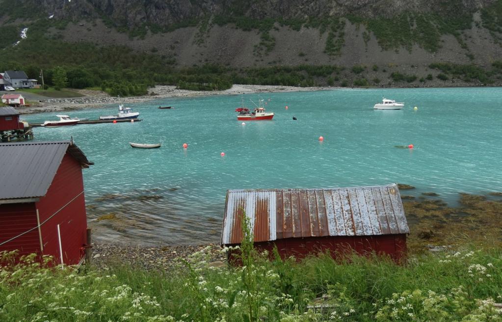 Foto: Christina Wegener Figur 5 Utsikt mot elveutløp innerst i Koppangen, der jøkullaup