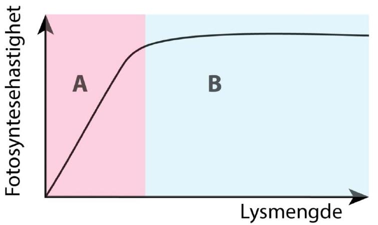 Energiomsetning 133 (oppgave 10 høst 2015) Hvordan blir eksiterte elektroner fra klorofyll i fotosystem 1 erstattet? A) De blir erstattet av elektroner fra ATP.