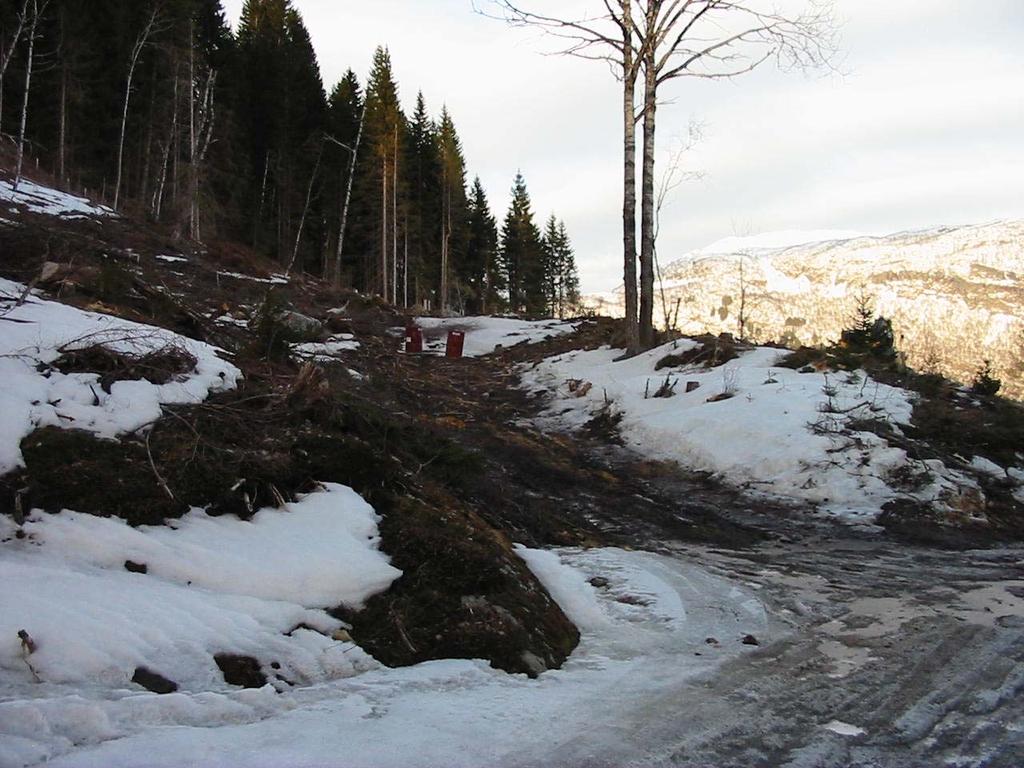 Gran er fremmed treslag på det aller meste av Vestlandet og er en trussel mot det biologiske mangfoldet mot det stedegne mangfoldet.