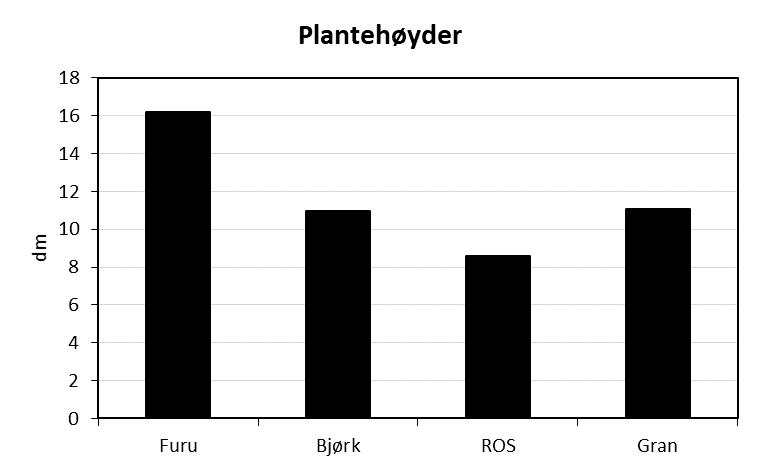 Figur Hægebostad.