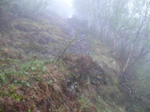 Stølsheimen landskapsvernområde for å ha nok tilgang på beite til husdyra. Dei bufører kvart år om lag 100 storfe til desse beita, og er avhengig av stølsvegen for å utnytta fjellbeita.