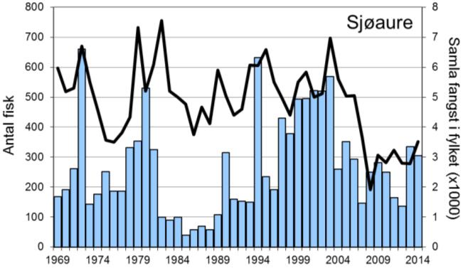 Laksen i vassdraget vart freda i 1990, men det vart igjen opna for fiske etter laks frå fiskesesongen 2003, etter at vassdraget vart definert som ikkje lakseførande. Figur 5.1.1. Årleg fangst av laks (stolpar, venstre) og sjøaure (høgre) i Årdalsvassdraget i perioden 1969-2014.