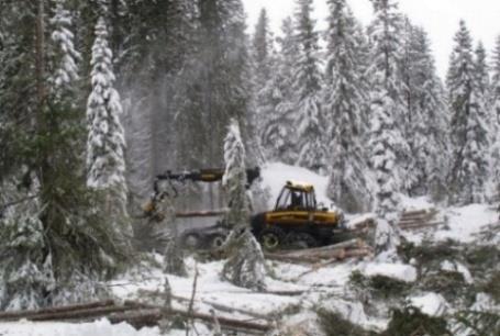 søknad om utbetaling fra skogfond, dette sendes til skogbrukssjefen i Flatanger kommune, Øivind Strøm, når man melder seg på prosjektet. Sameier må bestille skogbruksplan sammen.