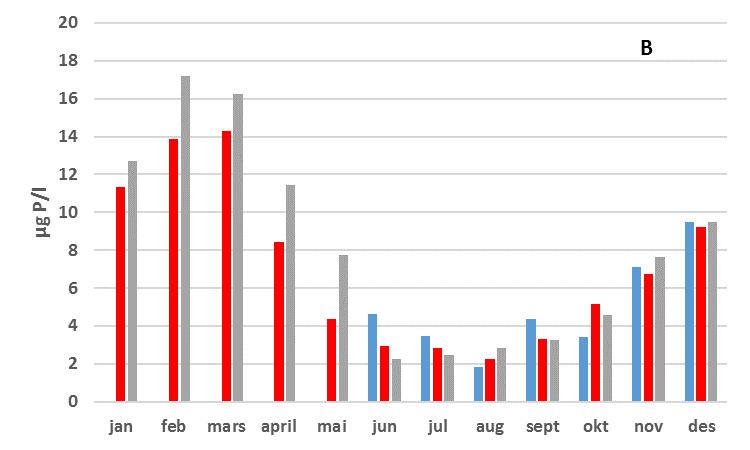 Figur 6. Konsentrasjon av næringssalter (µg/l) ved stasjon VR31 «Tilremsfjorden» for 2014 (blå), 2015 (rød) og 2016 (Grå).