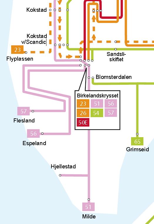 Dagens bussruter Blomsterdalen betjenes i dag av følgende bussruter, stilisert fremstilt i Skyss rutehefte (se figuren til høyre).