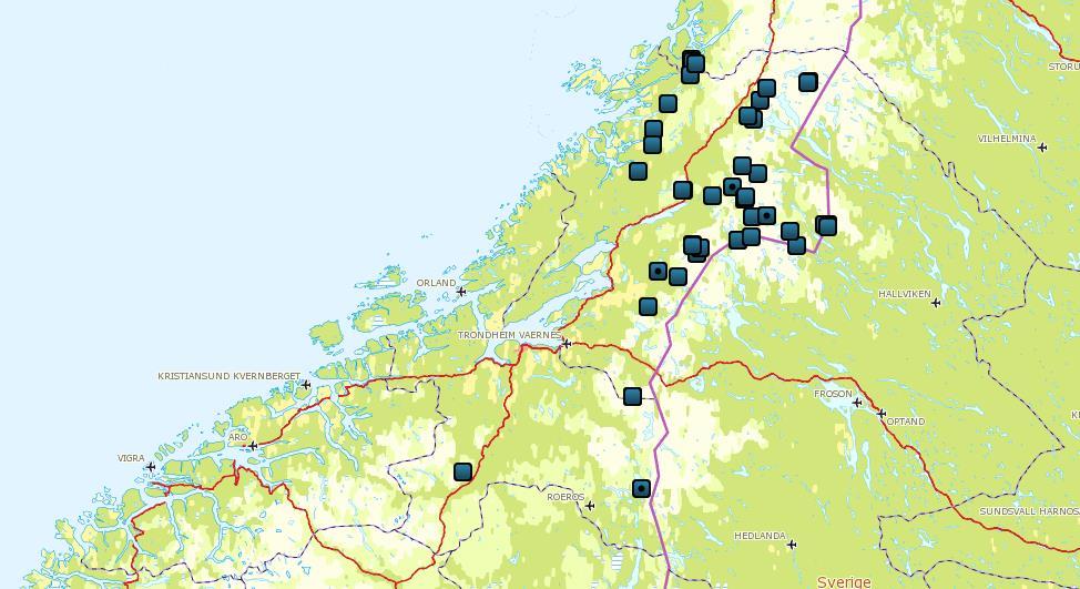 Figur 3: Kart over sau og lam dokumentert eller antatt drept av jerv i region 6 i 2015 (n = 94). Figur 4: Kart over rein dokumentert eller antatt drept av jerv i region 6 i perioden 1.1.2015 31.12.