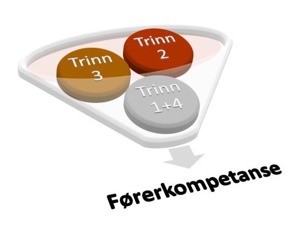 Lærerveiledning