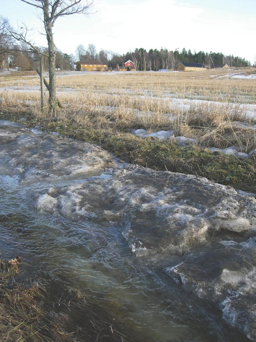 Plantevernmidler som bindes til det organiske materialet blir mindre for mikrobiell nedbryting. Kommer plantevernmidler på avveie etter sprøyting i jordbruket i Norge?