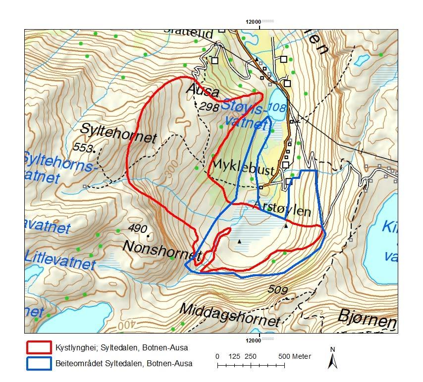 7 Ortofoto og kart Figur 2. Topografisk kart som viser beiteområdet for lokaliteten Syltedalen, Botnen Ausa (inntegnet med blått).