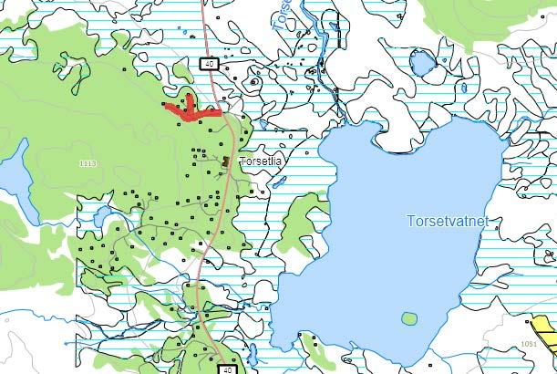 163. Torsetstigen Stikkveg nord for Torsetlia Navneforslag: