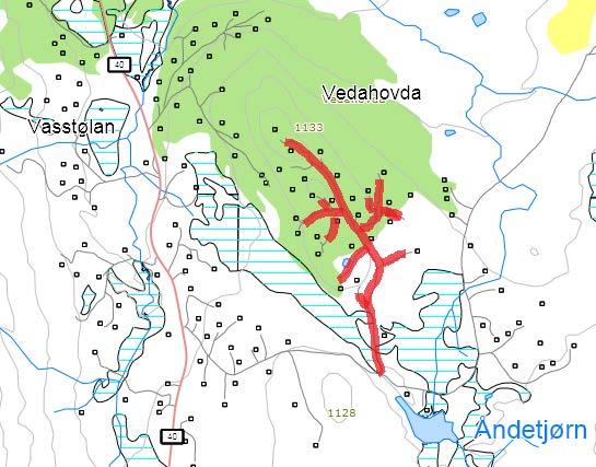 173. Veahøvde Veg opp til Veahøvde Navneforslag: VEAHØVDE Godkjente skrivemåter: Vedahovda (Godkjent av Kartverket,