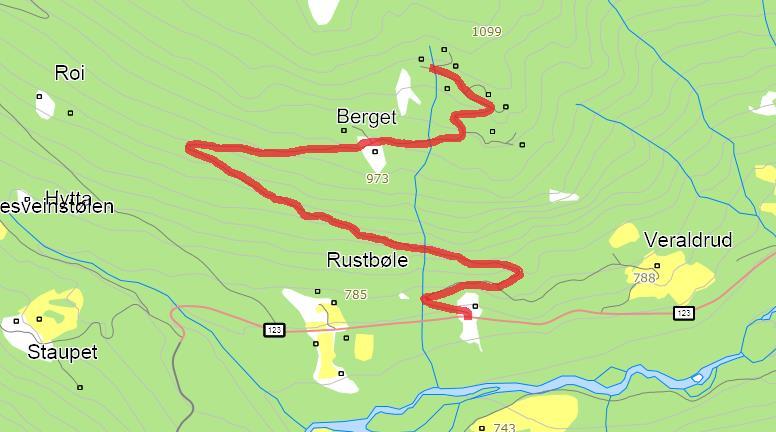 186. Berget Veg til hyttefelt Navneforslag: BERGET