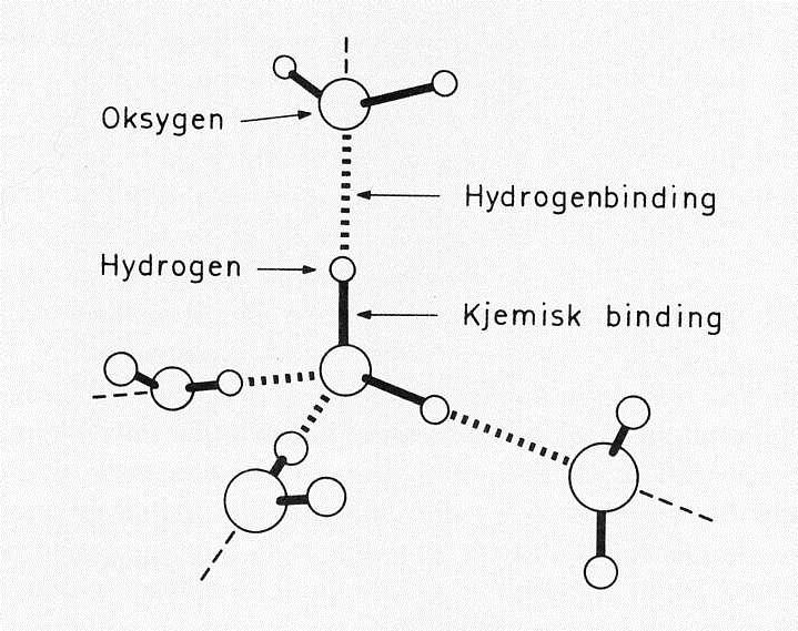 Krefter mellom molekyler Permanente dipolmoment Polare kovalente bindinger Forskjellig elektronegativitet Elektrostatiske krefter