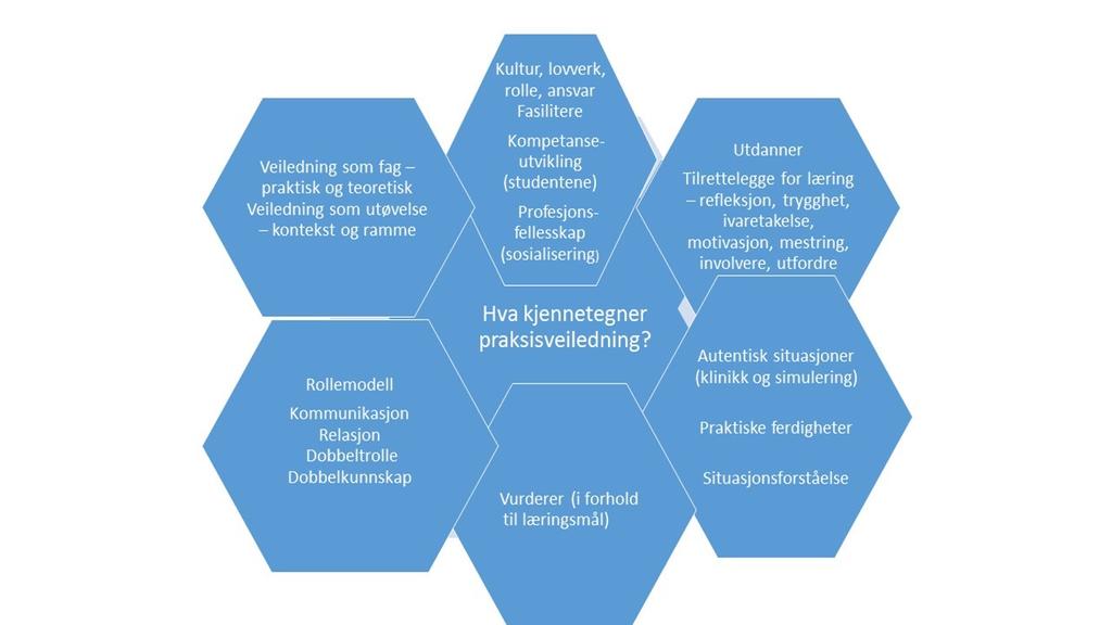 Videre diskuterte gruppen sin forståelse av innholdet i praksisveiledning, og dette ble samlet inn og kategorisert.