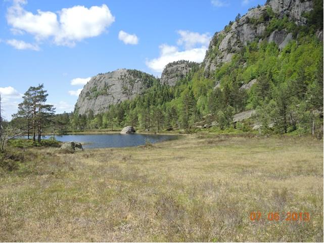 Verneplan for skog Tilråding om vern - utviding av Solhomfjell-Kvenntjønnane naturreservat i Nissedal