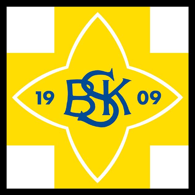 BSK-stjernen kan brukes i blått på hvit eller gul bakgrunn og i gult på blå, svart eller grå bakgrunn.