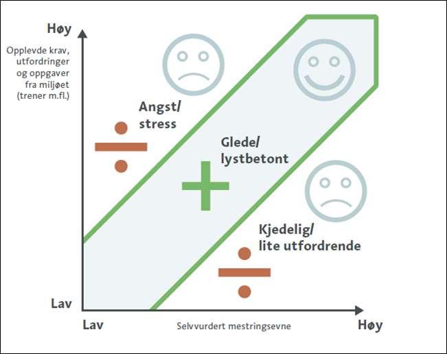 Dette innebærer at alle spillerne på laget trener sammen, men at man i øvelser og spill bør dele inn i grupper og differensiere etter nevnte kriterier.