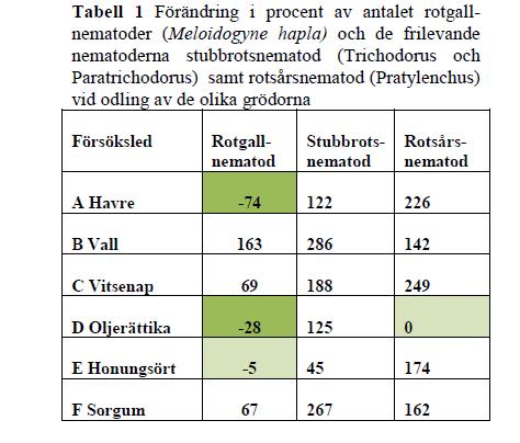 Nyere forsøk fra Sverige, viser at ulike forkulturer kan redusere rotgall og rotsårnematoder