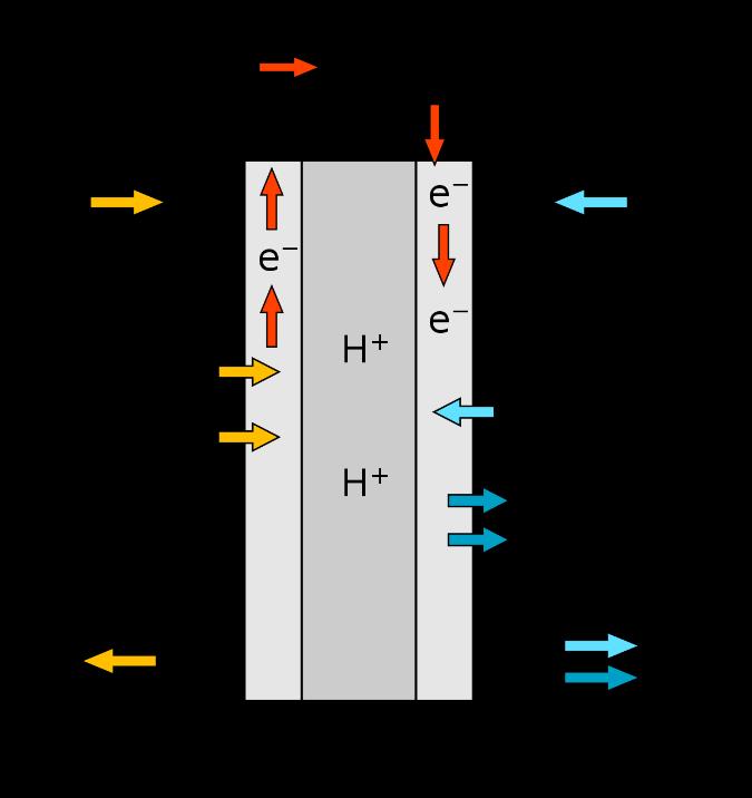 Hvordan fungerer en Brenselcelle? For å forstå hvordan en hydrogenbil fungerer er det viktig å ha kjennskap til hvordan brenselcellen fungerer.