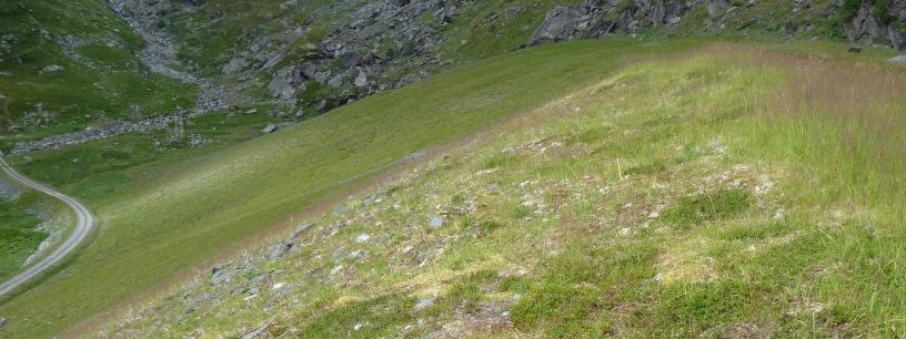 Vegetasjonsetablering på fem alpine steintipper i Sogn og Fjordane i 1993/95 og 2008 2.1.3. Kleådalen Fig. 4.