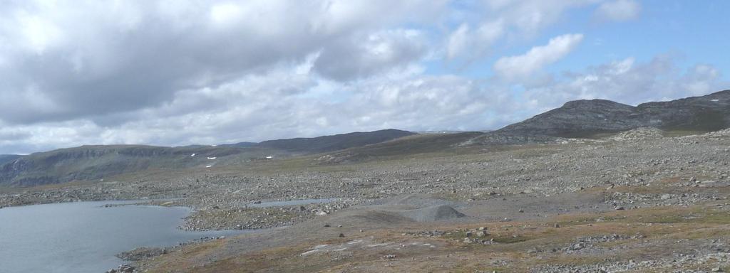 Vegetasjonsetablering på fem alpine steintipper i Sogn og Fjordane i 1993/95 og 2008 2.1.5. Sothaug Fig. 6. Tippen sett fra nord-øst; behandling lik Øydalen (Skjerdal & Odland 1995; Bjørn Røvik, pers.