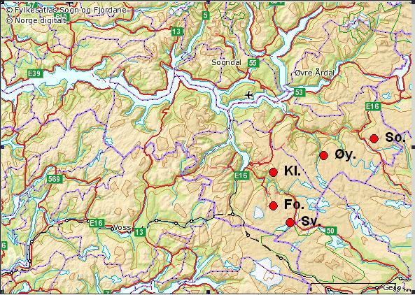 Vegetasjonsetablering på fem alpine steintipper i Sogn og Fjordane i 1993/95 og 2008 I dette arbeidet ønsker jeg å svare på om vegetasjonen varierer mellom og innenfor tippene, og om