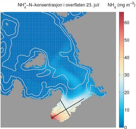 3.5 Oppløste næringssalter Effekter i Friarfjorden og Ifjorden I simuleringene ble NH 4-N sluppen ut ved 9 m dyp. Mesteparten av ble transportert til overflaten, slik at innlagringsdypet var på ca.