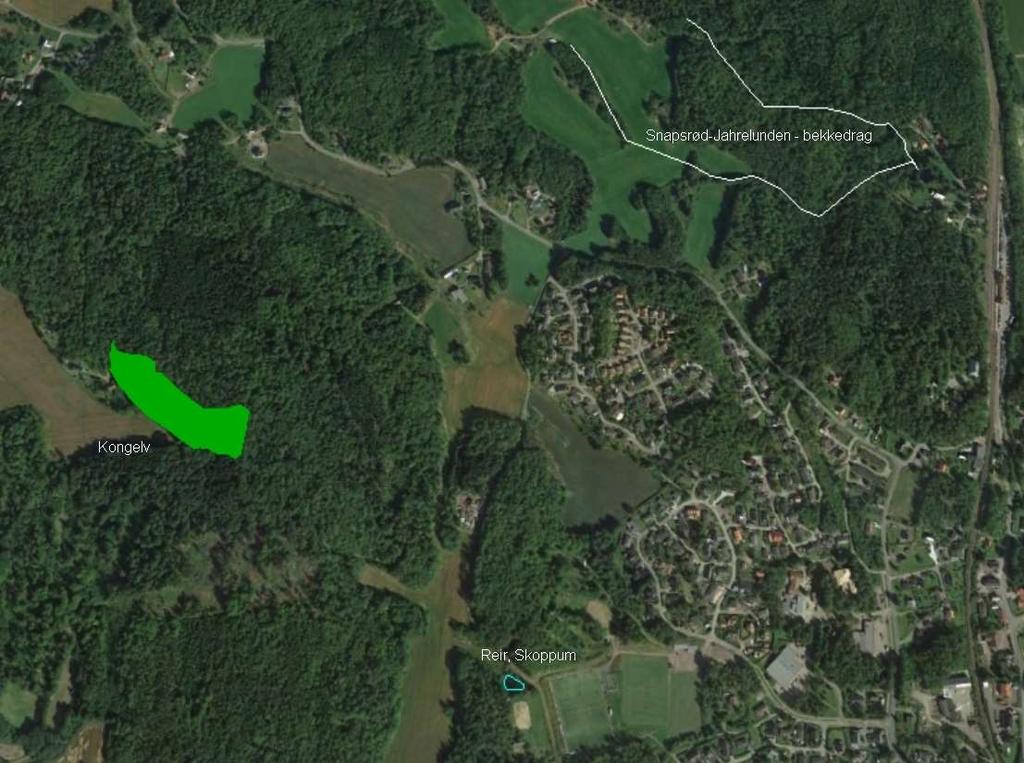 Figur 2: Flyfoto over undersøkelsesområdet Kongelv (grønn) og Reir