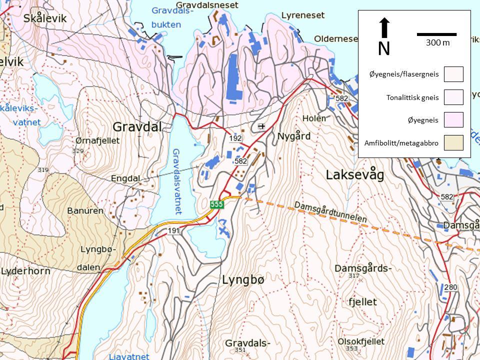 Figur 4: Berggrunnskart for området mellom fjellene Lyderhorn og Damsgårdfjellet. Det aktuelle området, merket med rødt, består av øyegneis til flasergneis, for det meste granittisk, rød biotittrik.