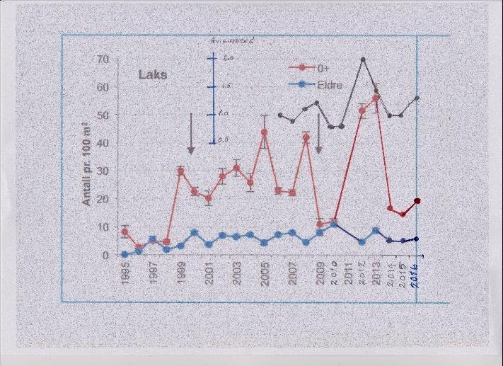 Bestandsovervåking Ungfiskundersøkelsene viser en nedgående tendens på yngeltetthet i 2014 og 2015 for både for yngel og eldre laksunger. Gytebestand har vært normal for disse 2 årene.