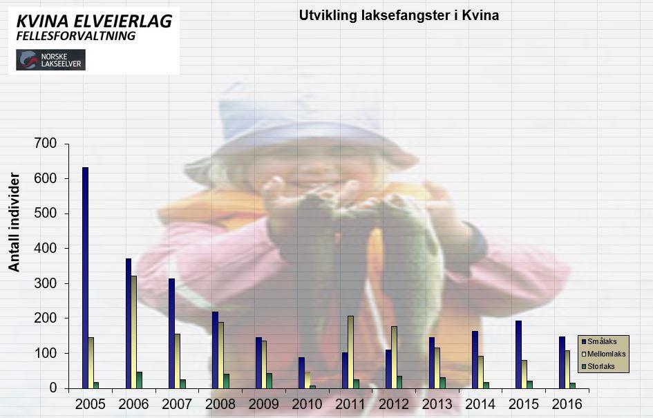 Utvikling nabovassdrag. Vi har valgt å ta med fangststatistikken for 2 av våre naboelver, Lygna og Sokna.