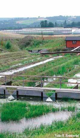 Diffuse kilder Konstruerte våtmarker Rensedammer for avrenning fra veg Bruk av