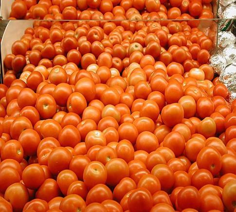 Her er målet nådd 67 % av norske tomatdyrkere og 87 % av norske agurkdyrkere brukte