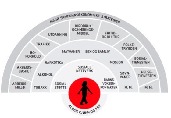 1.3 Definisjoner I dokumentet er det brukt definisjonene fra folkehelseloven 3.