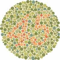 Tester for fargeblindhet Med normalt syn ser du tallene 45, 29, 6, 8 og 5 Ved rød-grønn fargeblindhet