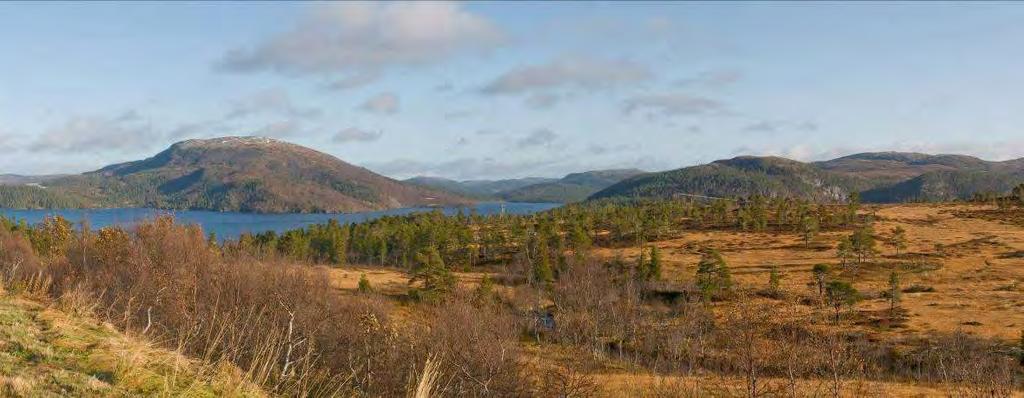 Figur 41. Utsikt over Våvatnet fra sørsiden. Øst for ledningstraseen ligger et det flotte barskogsreservatet Grytdalen på hele 16.000 dekar.