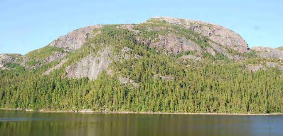 Fugl Langs denne delen av traseen hekker det en rekke dagrovfugler med blant annet havørn, kongeørn, vandrefalk, hønsehauk og fjellvåk.