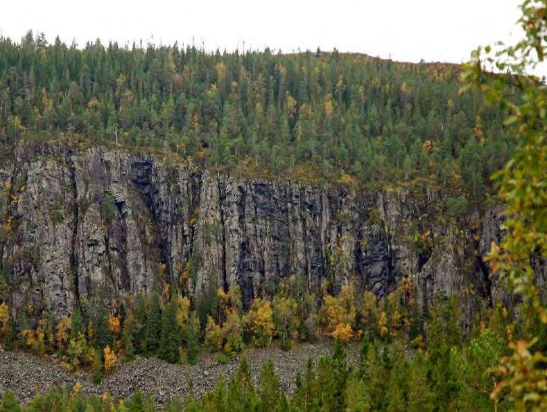 Figur 29. Kryssingen av det smale båndet med edelløvskog øverst i rasmarka ved Aunfjellet. Ledningen vil ikke påvirke lokaliteten.