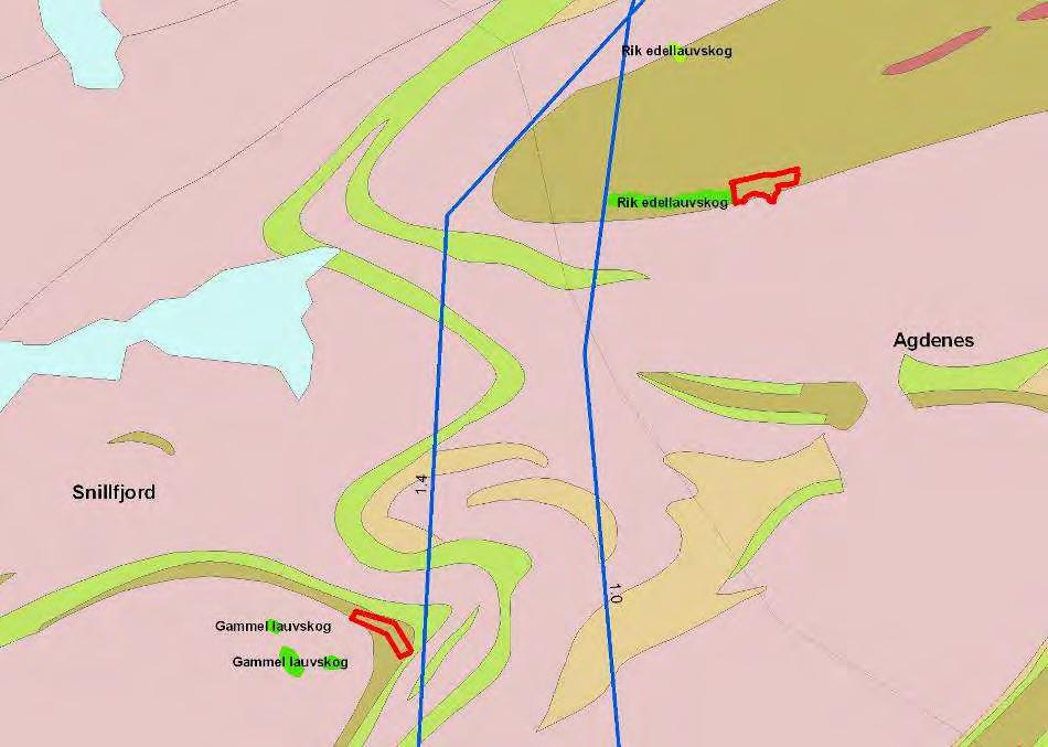 Figur 34. Berggrunnen er betingende for vegetasjonen i området.