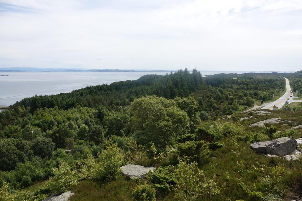 Skogen er også en del av et leveområde for hjort og rådyr. Området grenser mot eksisterende næringsområde i nord. 2.