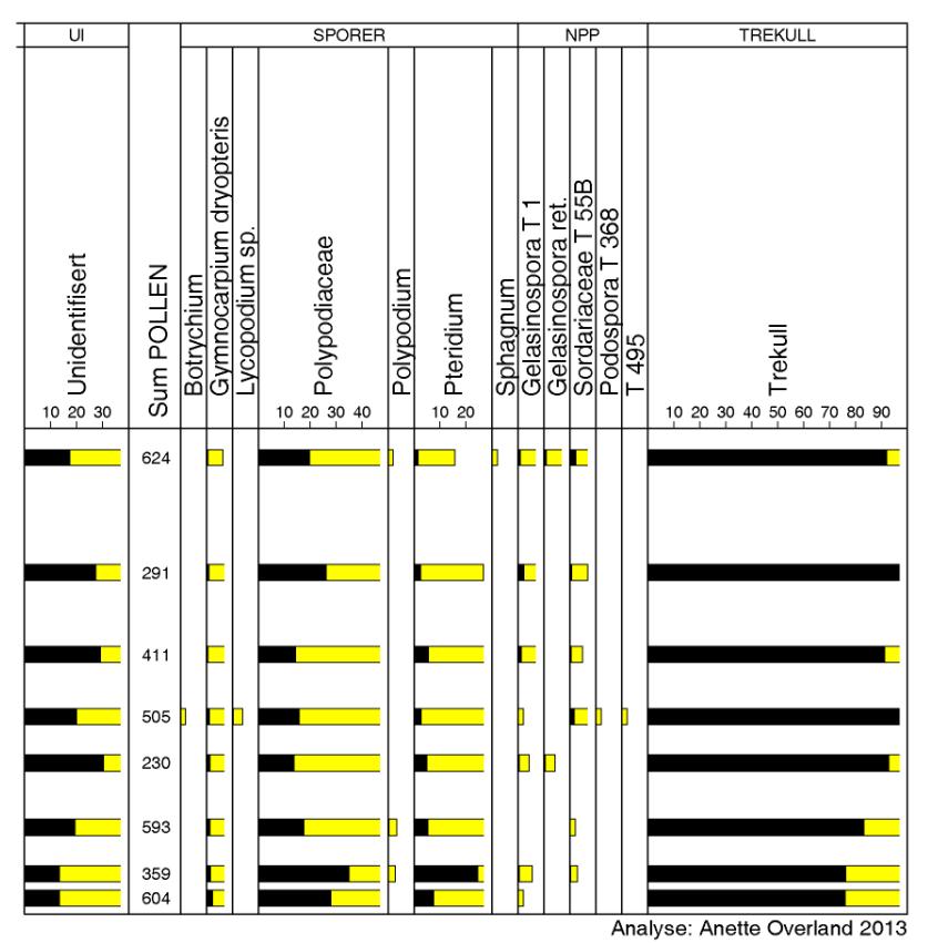 Fig. 7 (fortsetter): Pollendiagram fra profil 1. Sorte histogram viser prosent, lyse histogram denne verdien x 10. Lag 3, 4, 5 og 6 En pollenprøve fra hvert lag ble analysert.