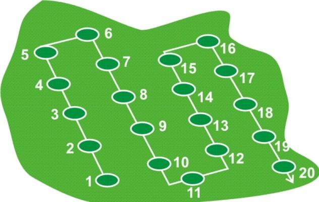 1. INNLEDNING Gransnutebiller gnager barken av nyplantede barplanter, og kan være et stort problem i ferske plantefelt.