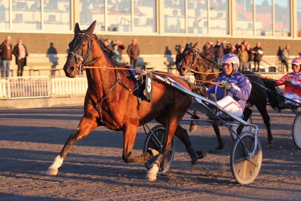 Løp 7: 1) Eurora 19,0 2) Dicentra Dream A.T 18,4g 3) Julia Ressie 19,5 Kommentar: Eurora forsvarte sporet og så ut til å ha full kontroll. in debutant! Dicentra Dream A.T. fjerde på linje, frem i dødens 1200m igjen, trøblet i siste sving, men samlet seg og ble sikker annen.