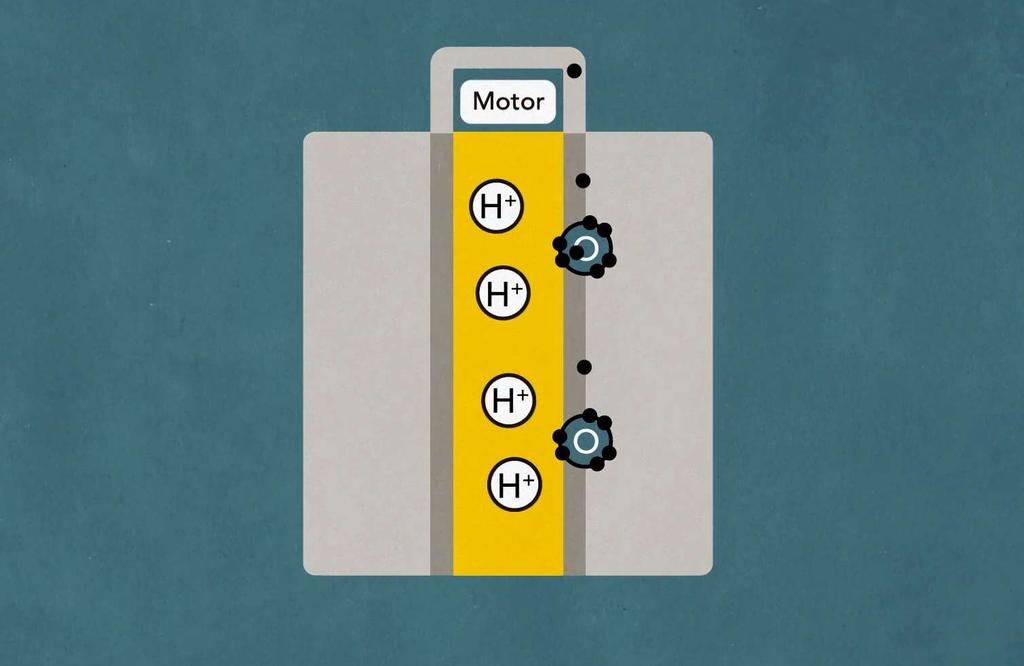 Brenselcelleprinsipp fra hydrogen til strøm Lydløse